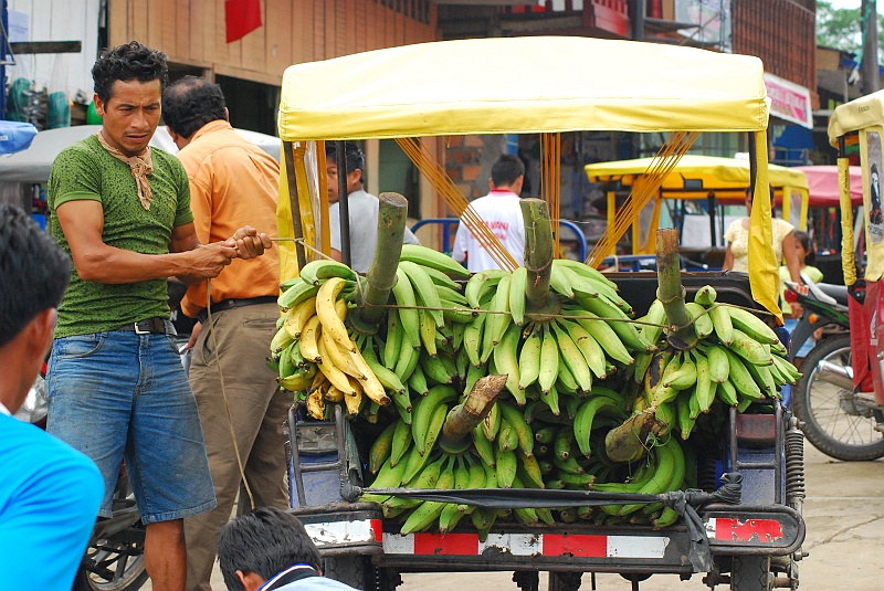 Laura i Astronom-81.JPG - A to już punkt przesiadkowy, zetniemy zakole Amazonki i przemierzymy je motorkami, w dawnych czasach Indianie robili tak w bambuko konkwistadorów i wyrabiali sobie tym sposobem dwudniową przewagę. Widać to fajnie na mapkach (można kliknąć u dołu). (Zdjęcie: Laura i Astronom)